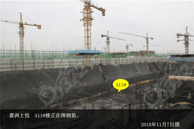 嘉洲上悦A11.jpg