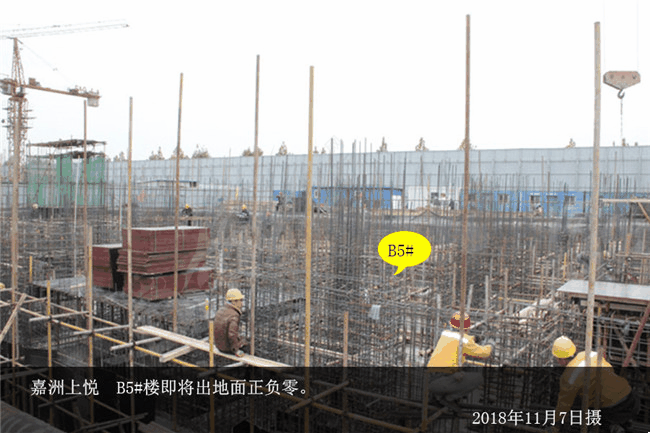 嘉洲上悦B5.jpg