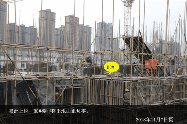 嘉洲上悦B8.jpg