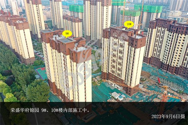 DJI_0427.jpg